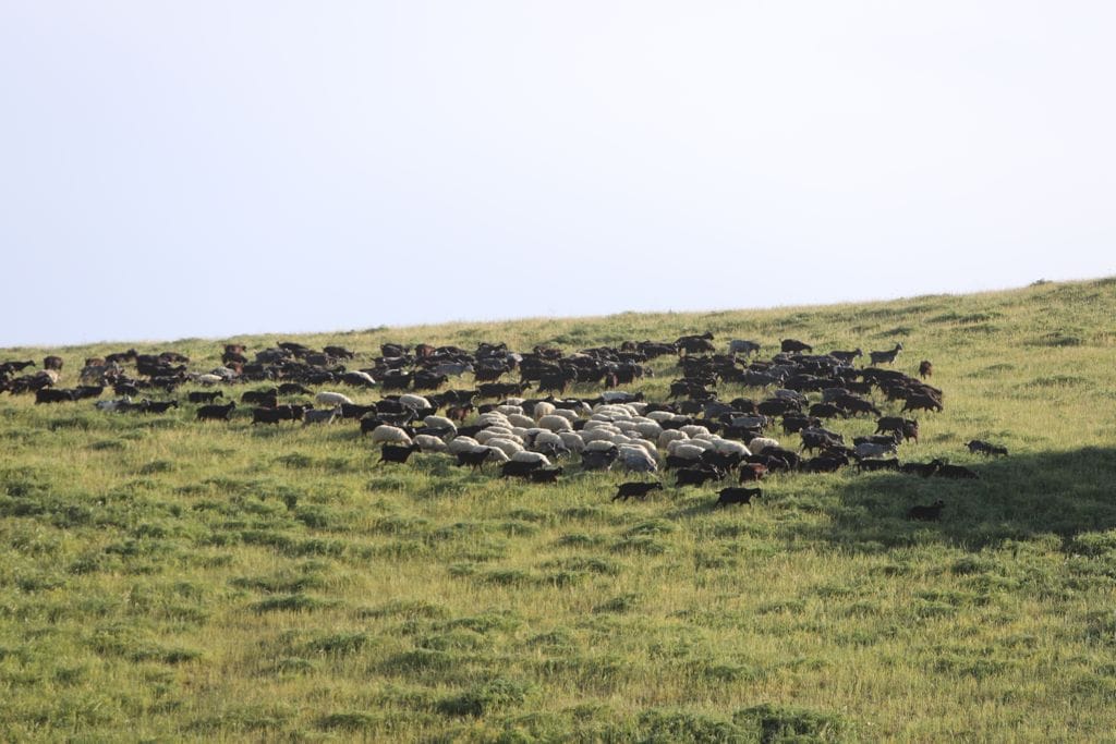 189295969 927234204764390 2773867880997181732 n