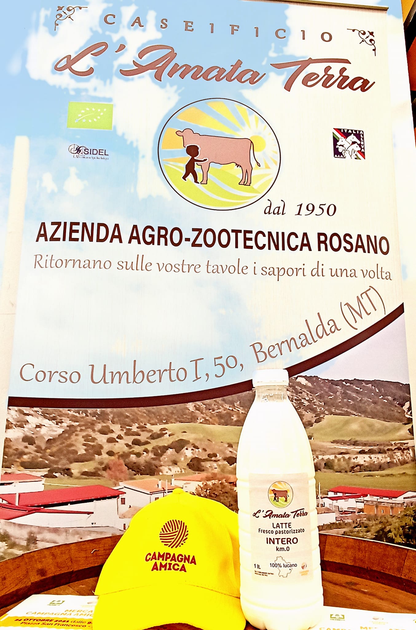 260102535 1047029716118171 4793436243629726777 n