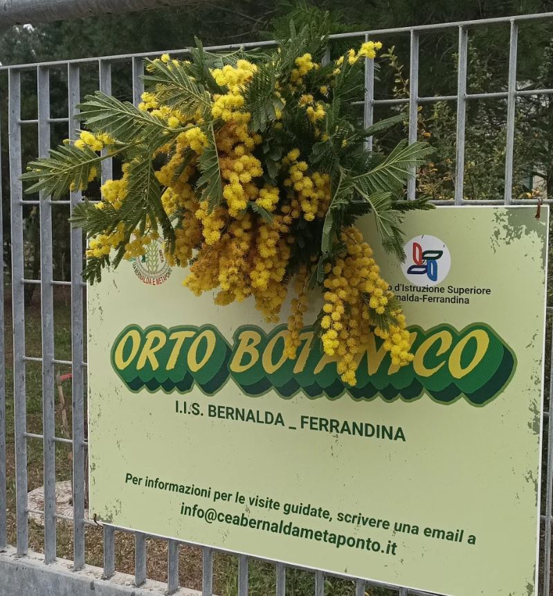 8 marzo