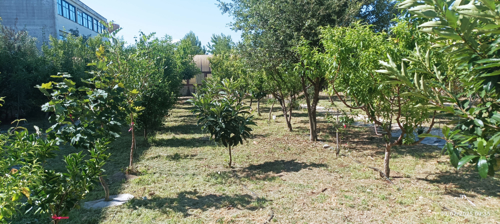 Adobe Express file 2