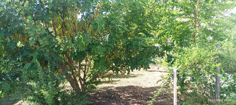 Adobe Express file 3