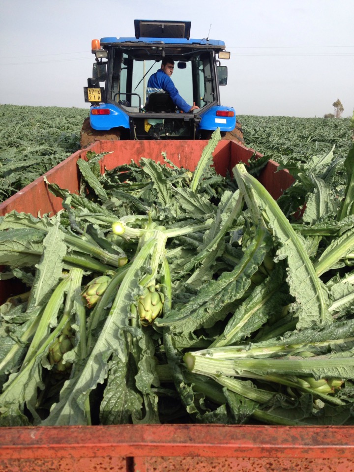 10968163 10204803962873076 1043369068 n