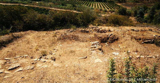 fattoria fabrizio (Copia)