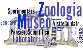 nuvola iniziale