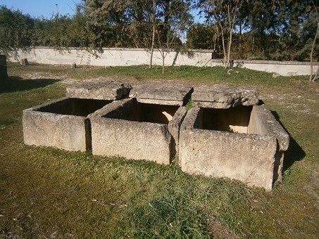 necropoli crucinia