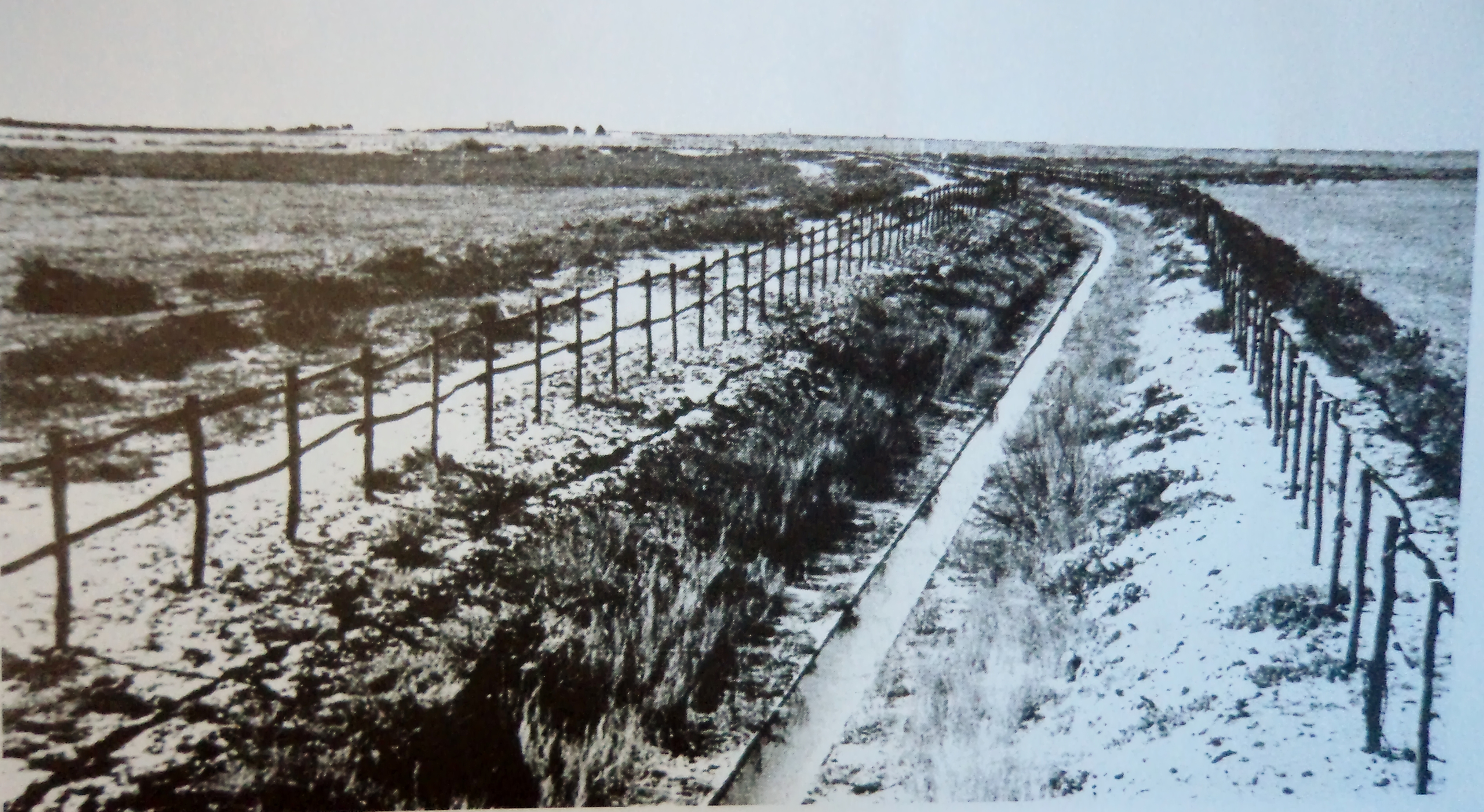 santa palagina 1933